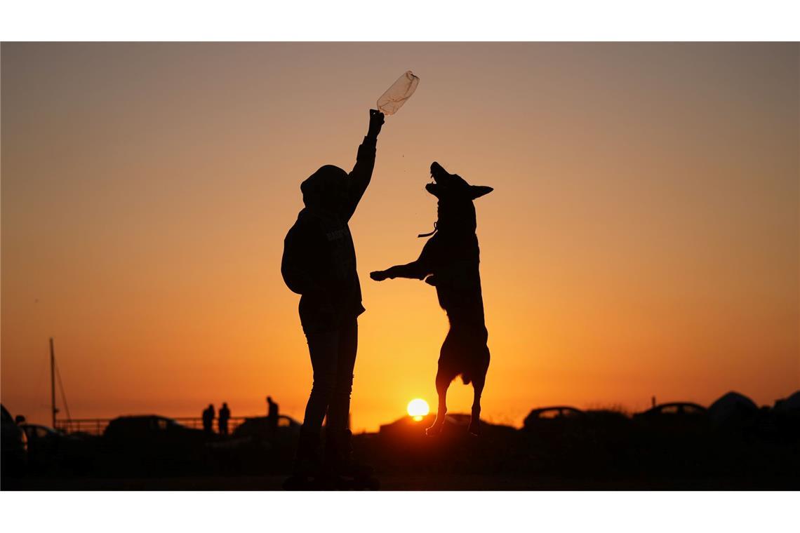 Sidra Mohamad Saadeh, 13, die durch israelische Luftangriffe in Dahija, den südlichen Vororten Beiruts, vertrieben wurde, spielt bei Sonnenuntergang mit einem Hund namens Rocky auf einem öffentlichen Platz an der Beiruter Uferpromenade.