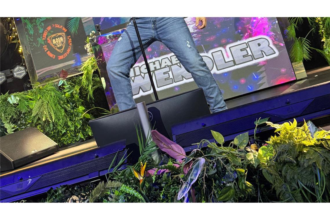 "Sie liebt den DJ": Wendler präsentierte im "Megapark" seine Hits.