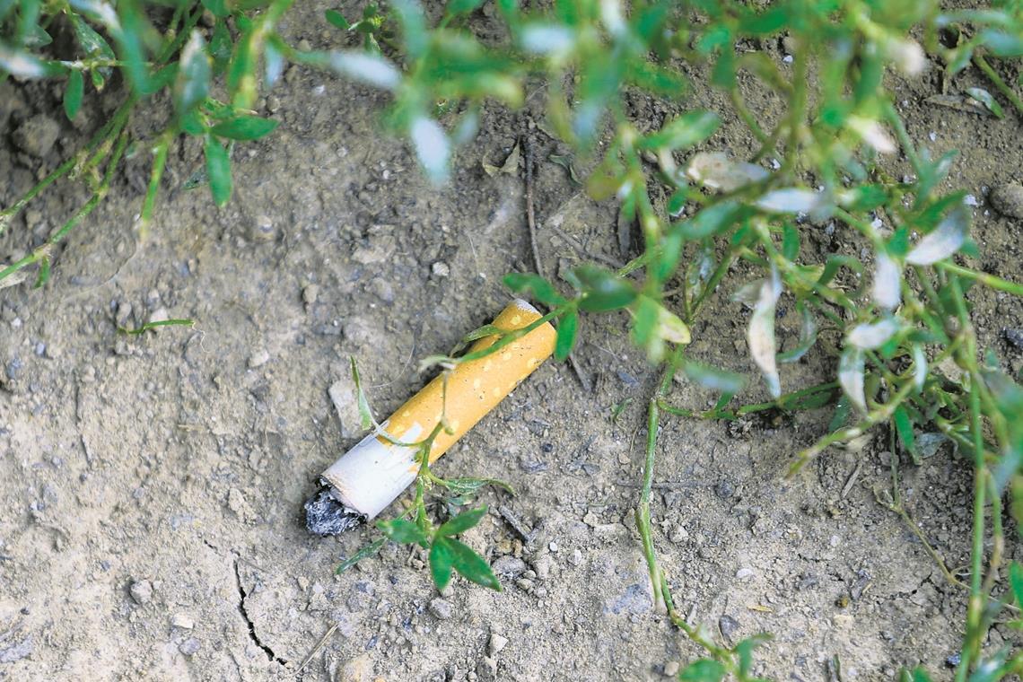 Sie liegen im Gras, in Rinnen und Fugen, unter Gittern oder in Blumenbeeten: Wer mit offenen Augen durch die Stadt läuft, dem wird auffallen, wie viele Zigarettenstummel die Umwelt verunreinigen. Fotos: A. Becher