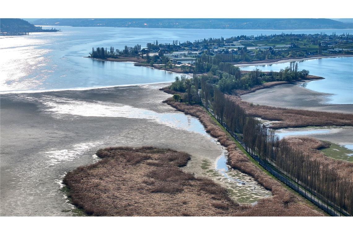 So wirkt sich das Bodensee-Niedrigwasser aus Sieht ungewöhnlich aus: Der Wasserstand des Bodensees ist auf einem niedrigen Stand.