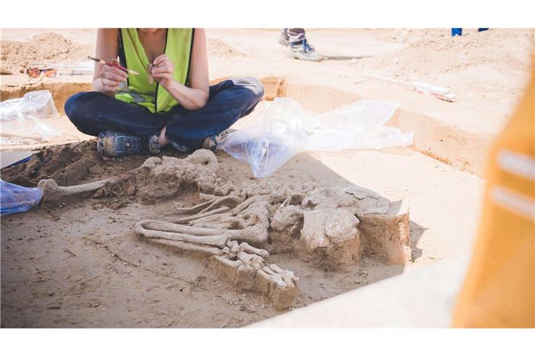 Skelette werden feinsäuberlich freigelegt. Im Zuge von Bauarbeiten für die Stromtrasse Südostlink ist bei Mintraching im Landkreis Regensburg ein größeres Gräberfeld entdeckt worden