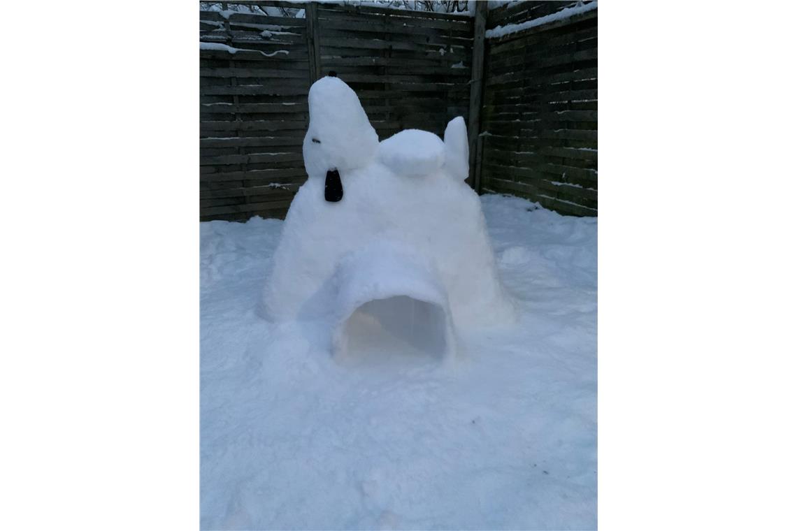 Snoopy auf dem Iglu von Tamira Ahne aus Sechselberg