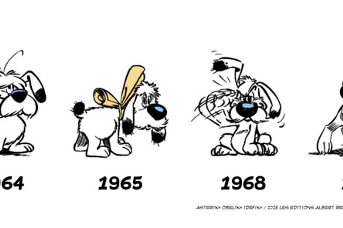 60 Jahre Idefix: Wie ein gallischer Hund die Welt erobert So hat sich der kleine Hund aus Gallien verändert: Kein graues Haar - aber doch nicht mehr so wie früher.