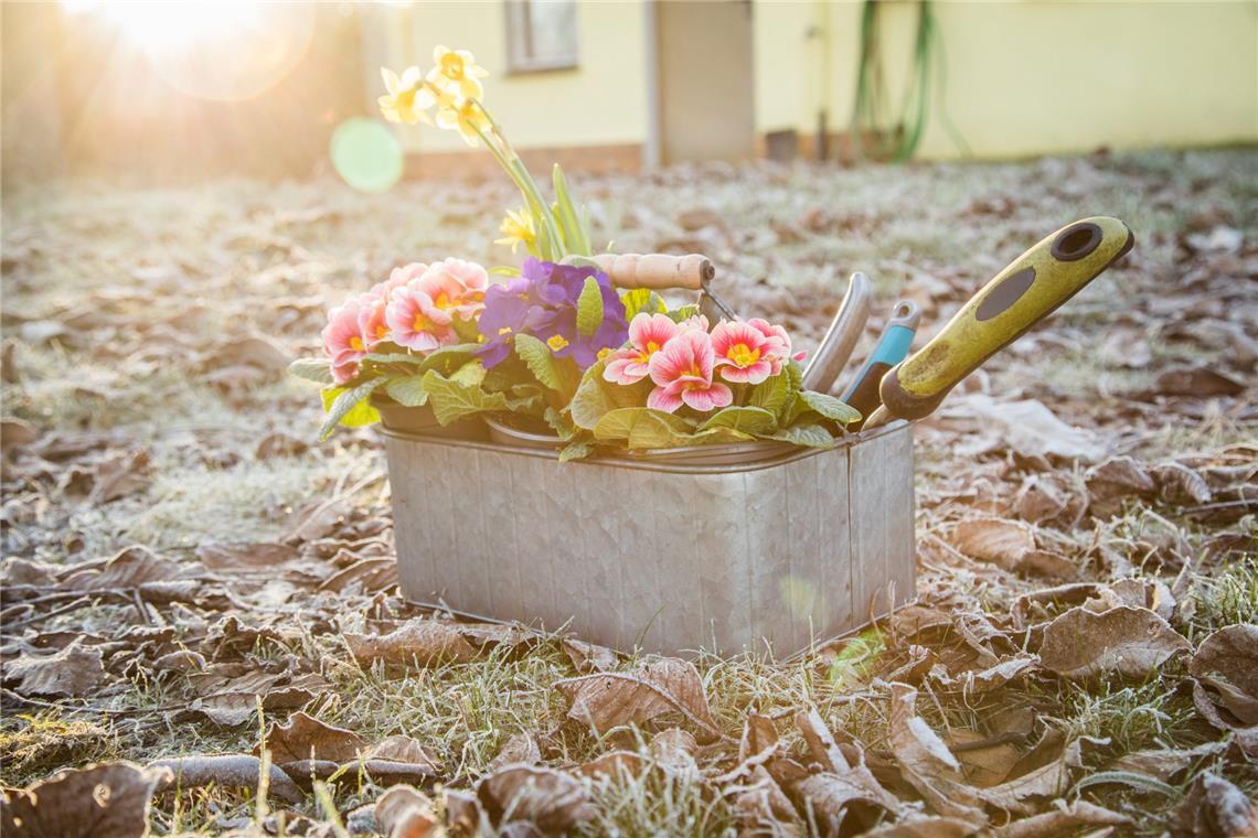 So können die Eisheiligen im Frühjahr zuschlagen. Doch angesichts des Klimawandels wird das in hiesigen Breiten immer unwahrscheinlicher.