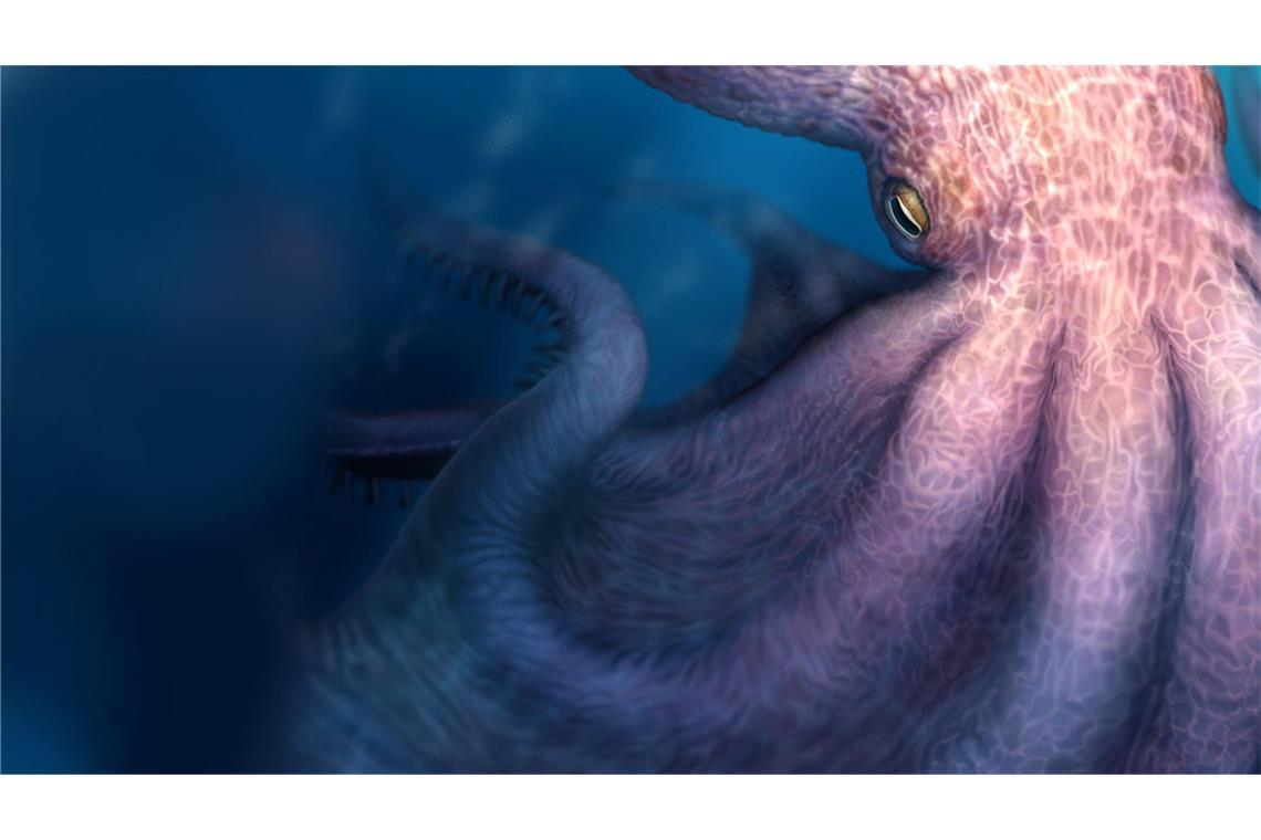 So könnten die Riesenoktopusse der Kreidezeit ausgesehen haben.