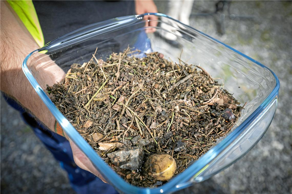 Biovergärungsanlage in Backnang: Wie aus Biomüll Blumentöpfe werden So kommt der geschredderte Biomüll in die Versuchsanlage. Bei dem Verfahren werden feste Fasern und flüssige Bestandteile voneinander getrennt.