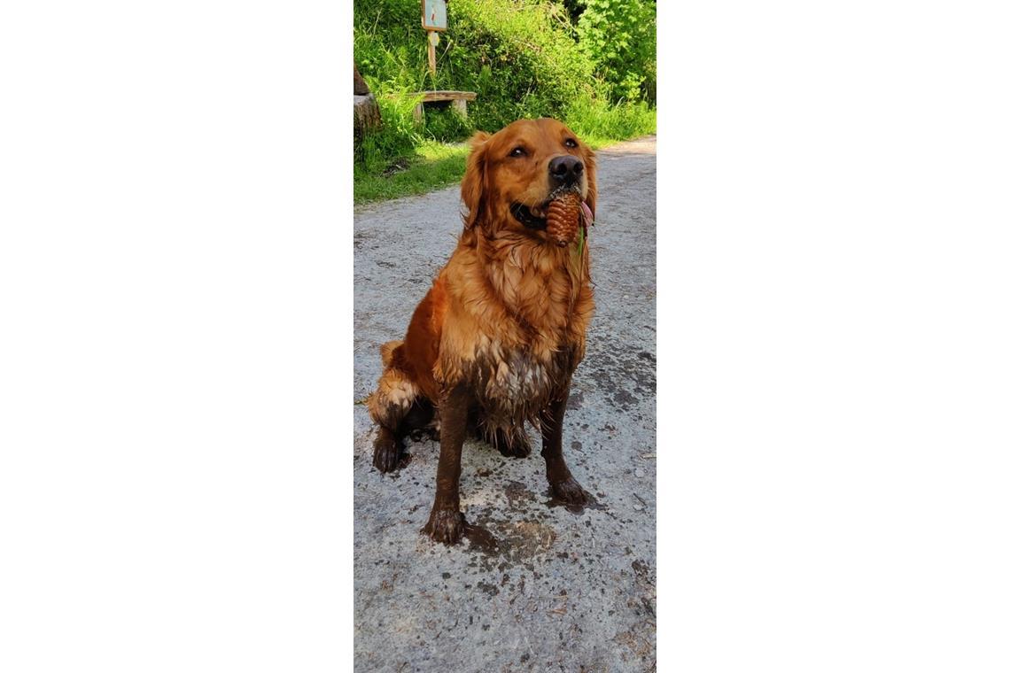 So richtig wohl im Schlammbad fühlen sich so einige Hunde unserer Leserinnen und...