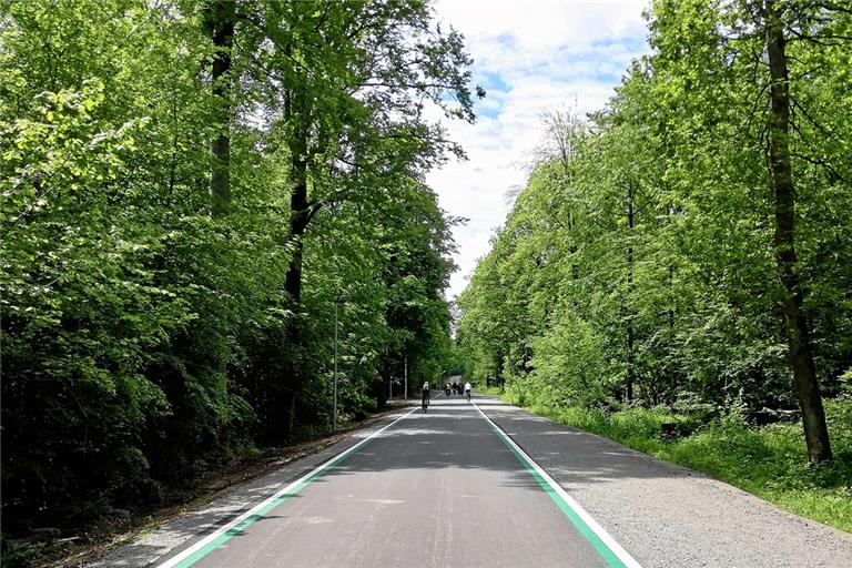 So wie der bereits bestehende Radschnellweg bei Böblingen könnte die projektierte Verbindung zwischen Waiblingen und Ludwigsburg auch aussehen. Foto: Landratsamt