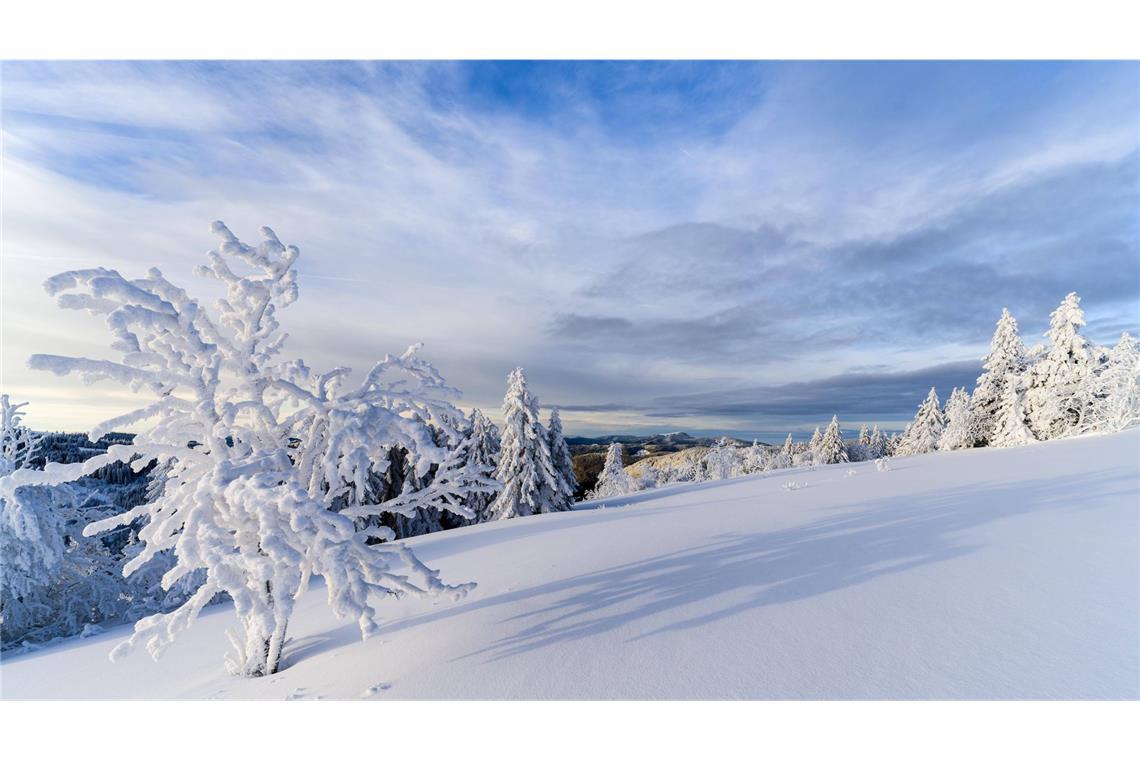 Schneesturm über Schwarzwald, Alb und Allgäu? So wie hier am 10. Januar 2024 am Feldberg könnte sich das Bergland zu Weihnachten tief verschneit zeigen.