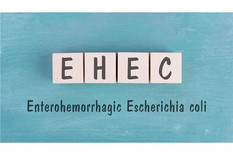 So wird EHEC übertragen.