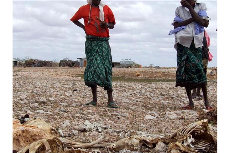 Somalische Hirten, die ihren gesamten Viehbestand wegen anhaltender Trockenheit verloren haben, stehen neben den Kadavern der Tiere. Foto: Badri Media/EPA/dpa