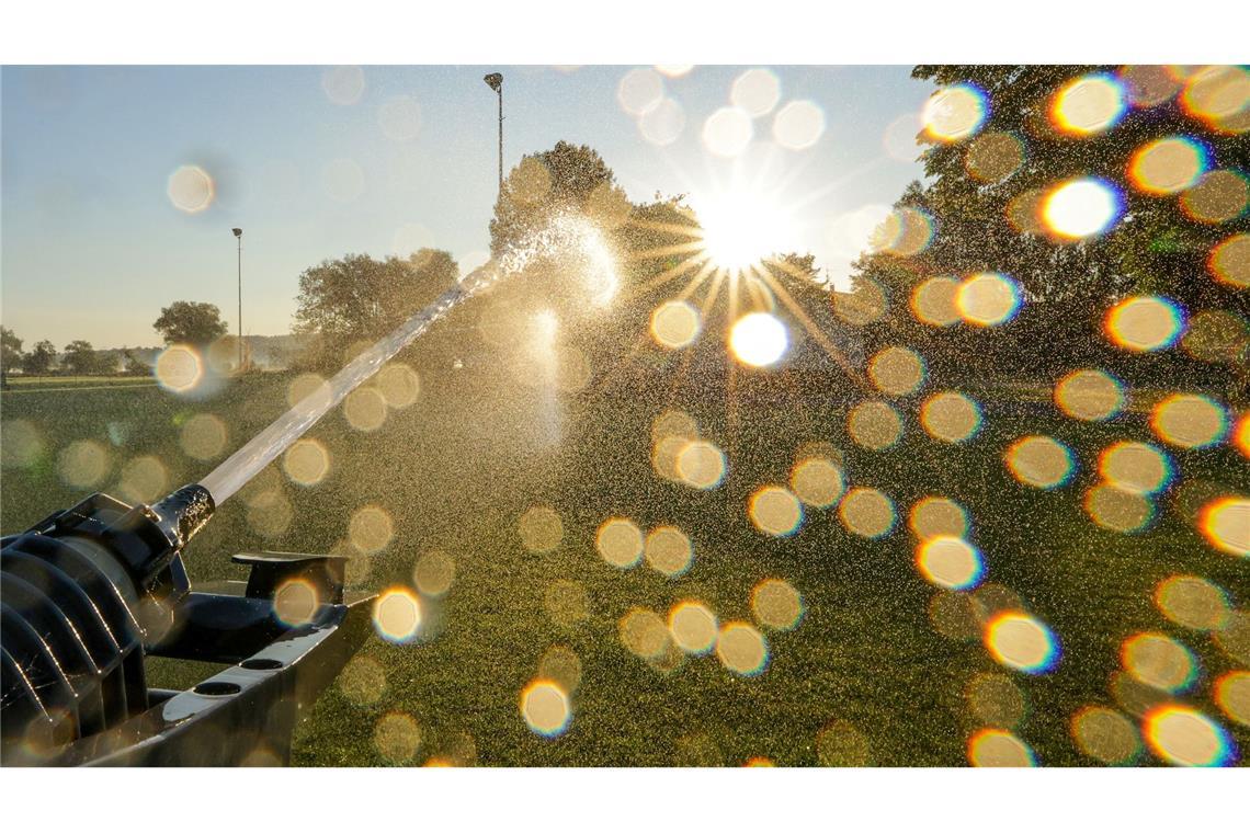 Bilder des Tages Sommerhitze: Rasensprenger schützt den Rasen früh am Tag