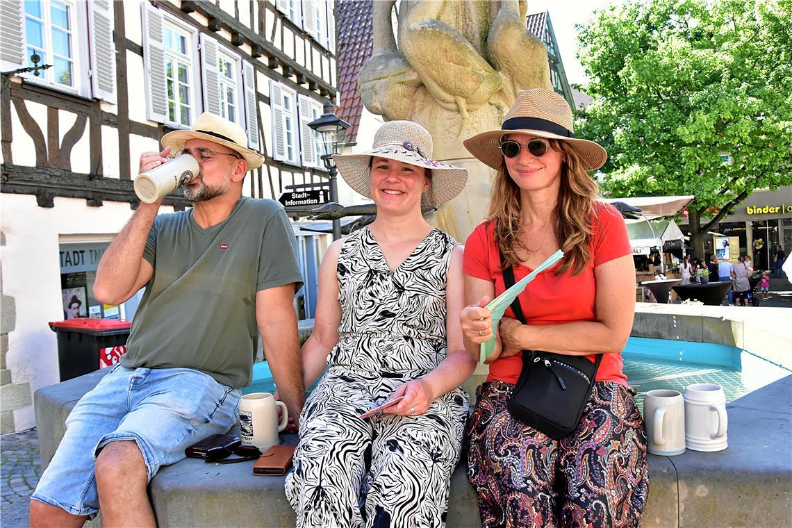 Sommerliche Stimmung am Gänsebrunnen. Straßenfest 2025  in Backnang. Bilder vom ...