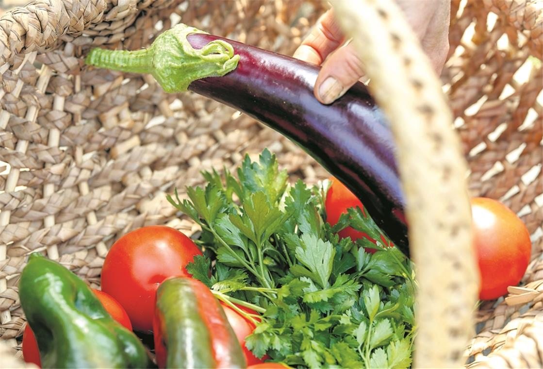 Sommerliches Gemüseensemble: Paprika und Tomaten gehören ebenso zum Spektrum wie frische Petersilie und andere Kräuter. Fotos: A. Becher