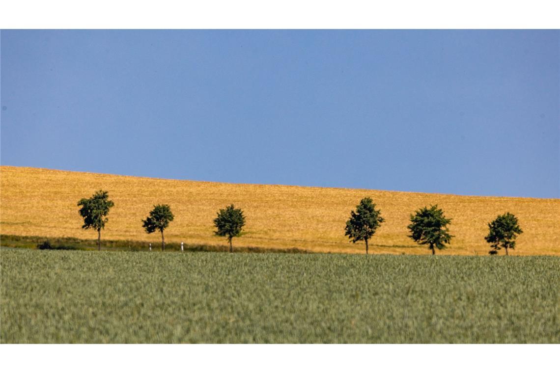 Bilder des Tages Sommerliches Wetter in Sachsen.