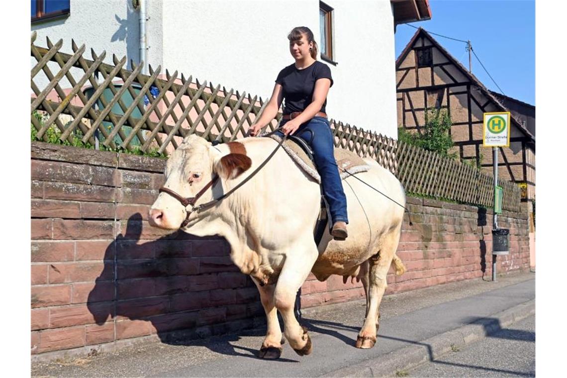 Sonja Keller reitet mit der Kuh Melina aus. Foto: Uli Deck/dpa