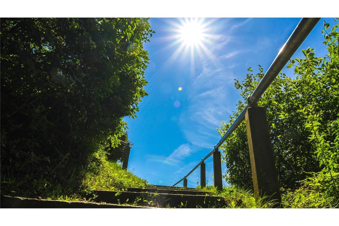 Sonne pur wartet auf die Menschen in Freiburg am Freitag.