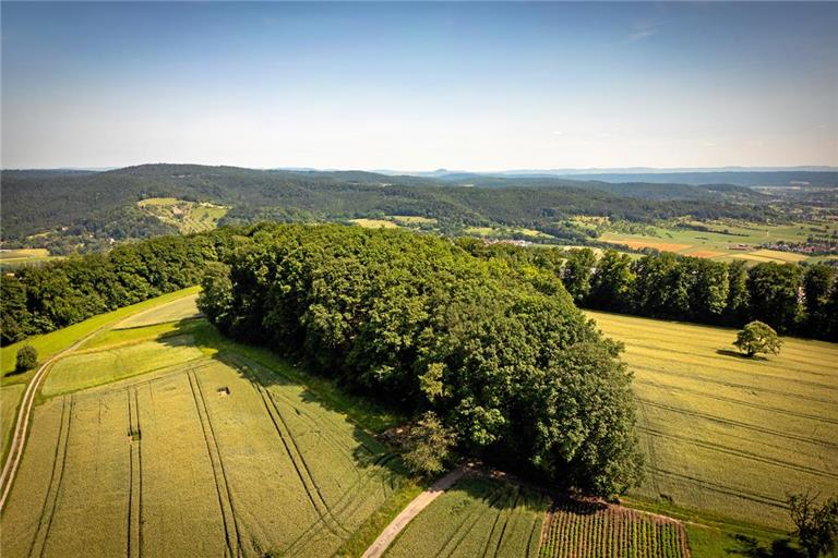 Sonne satt und kein Wölkchen in Sicht – so zeigte sich der Juni in der Region häufig, auch in Weissach im Tal. Foto: Alexander Becher