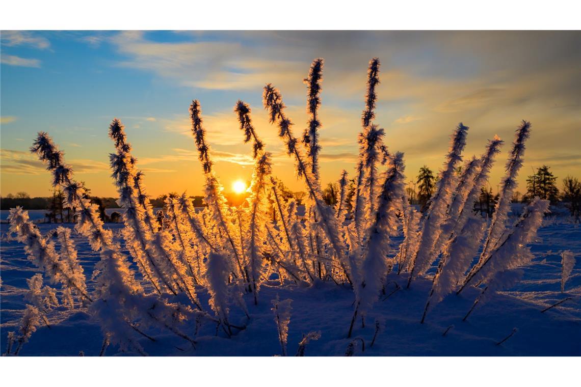 Sonne und kalte Luft erwarten die Meteorologen zum Wochenbeginn. (Archivbild)