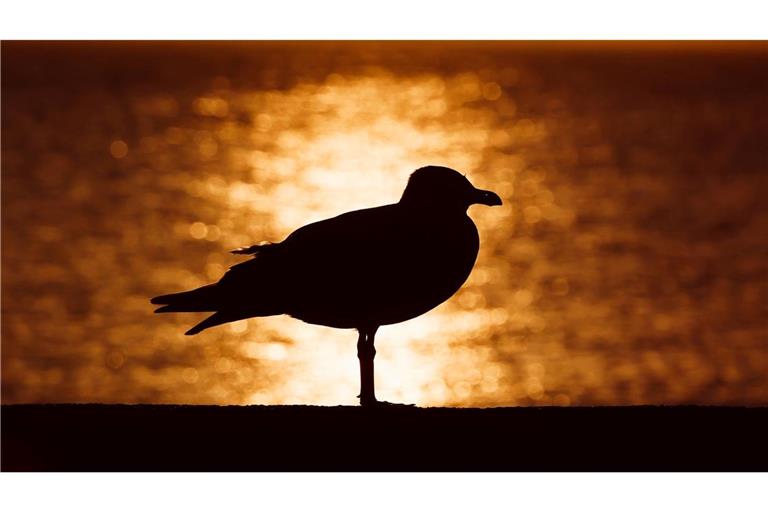 Sonnenaufgang an der Ostsee