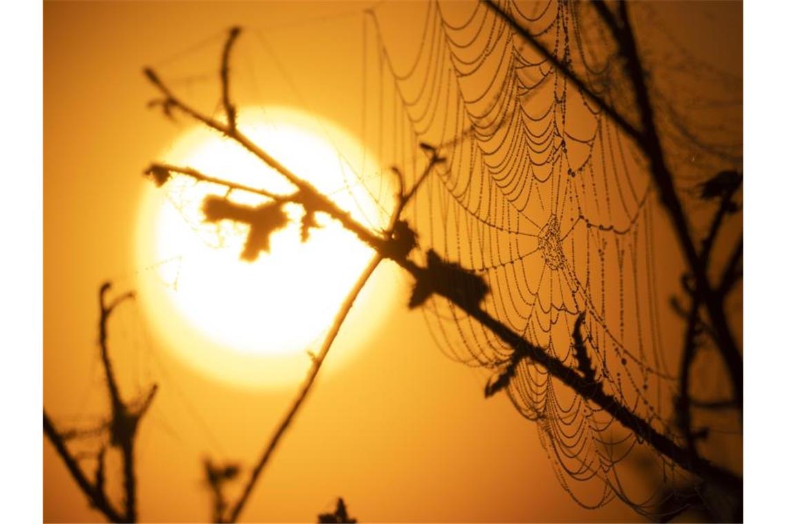 Spätsommer in Baden-Württemberg: Es wird noch mal heiß Sonnenschein. Foto: Julian Stratenschulte/dpa