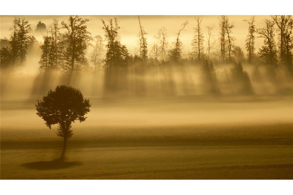 Bilder des Tages Bilder des Tages