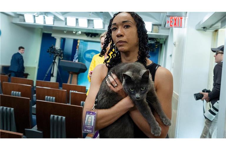 Sophie, eine Katze, die sich auf das Gelände des Weißen Hauses verirrt hat, wird von Francesca Chambers, Korrespondentin des Weißen Hauses für USA Today, im Weißen Haus auf dem Arm gehalten.