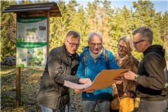 Sorge um die Waldidylle: Udo Wruck (von links), Peter Spathelf, Eva-Maria Banzhaf und Kai-Markus Müller von der Bürgerinitiative studieren die umstrittenen Windpark-Pläne.Foto: Alexander Becher
