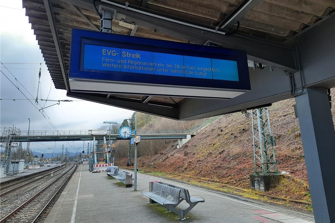 Sowohl der Fern- als auch der Regionalverkehr waren eingestellt. Foto: Kai Wieland