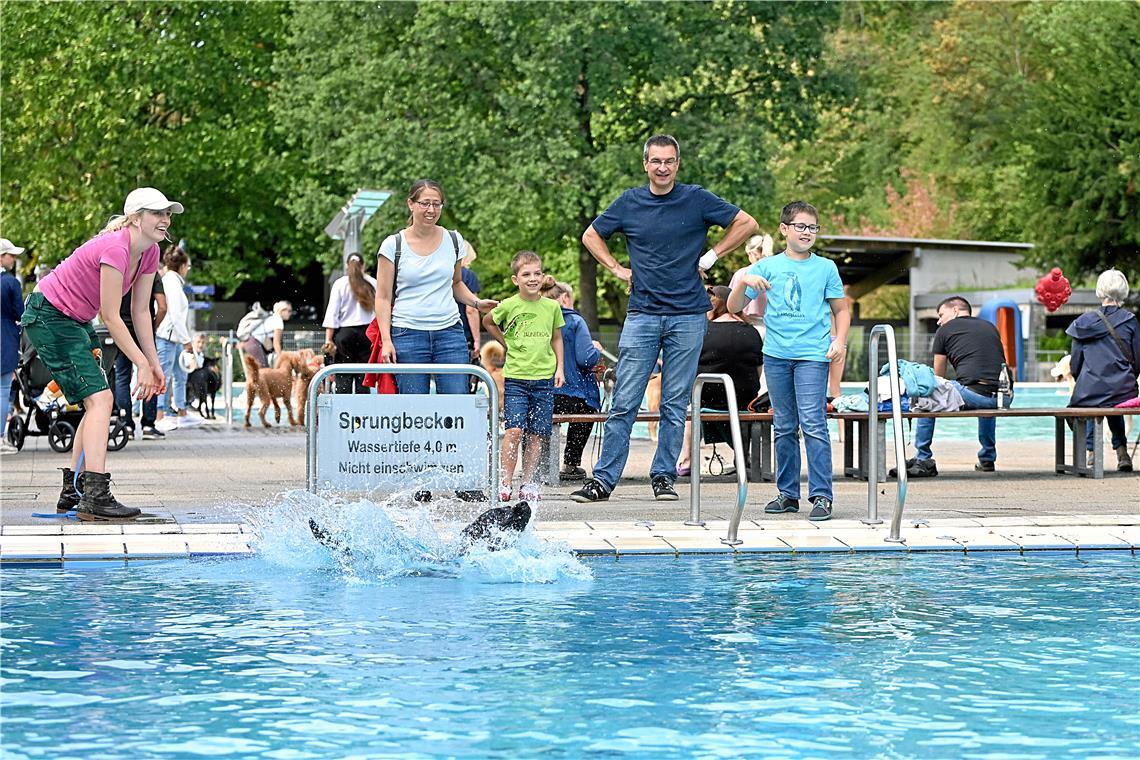 Spaß für die Tiere und die Manschen, einfach für die ganze Familie. Hundeschwimm...