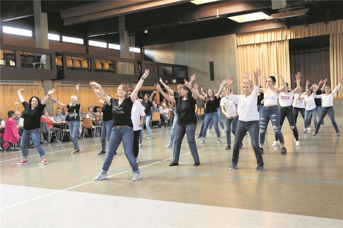„Das vergnüglichste Gehirnjogging“ Spaß und Sport: Das 5. Linientanz-Event der Landfrauen Rems-Murr-Kreis geht in diesem Jahr in Auenwald über die Bühne. Foto: J. Fiedler