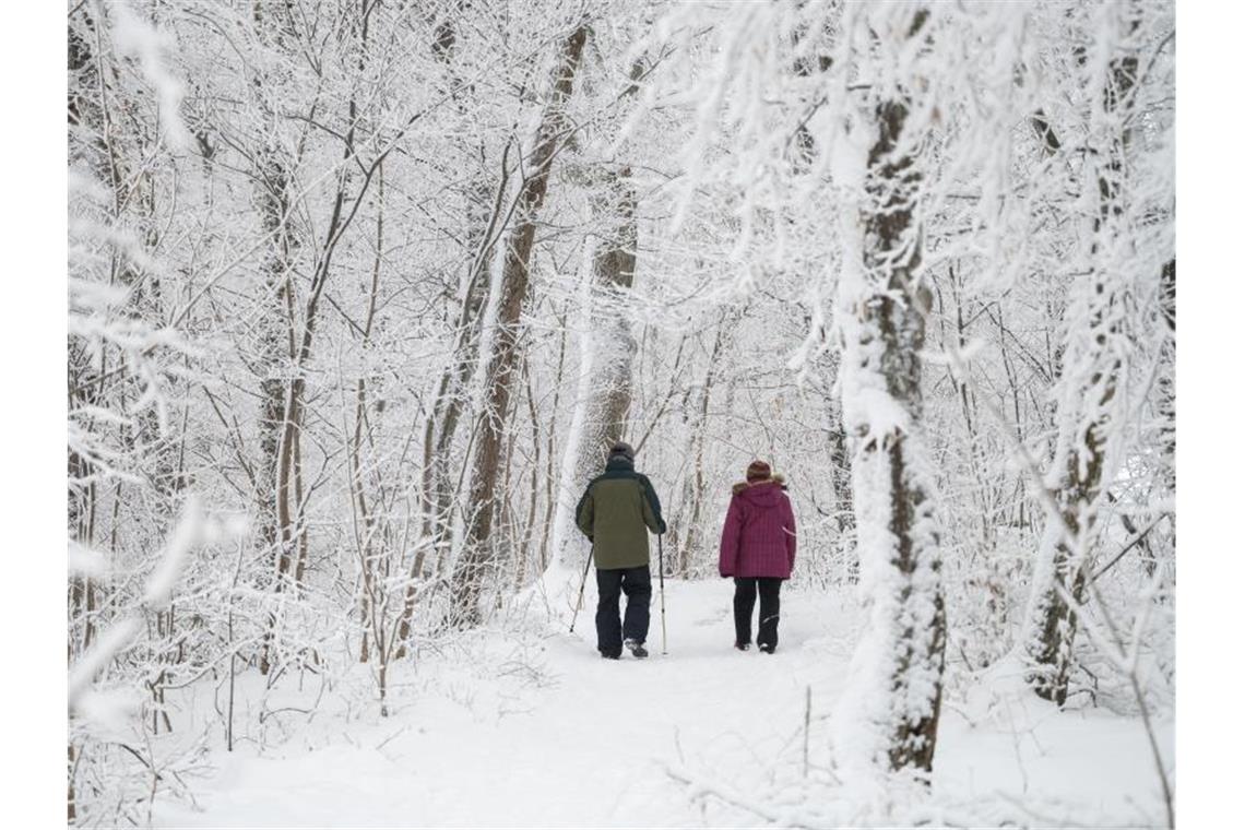 Spaziergänger gehen durch einen verschneiten Wald. Foto: Marijan Murat/dpa