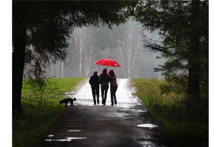 Spaziergänger gehen in einem Wald durch den Regen. Foto: Karl-Josef Hildenbrand/dpa