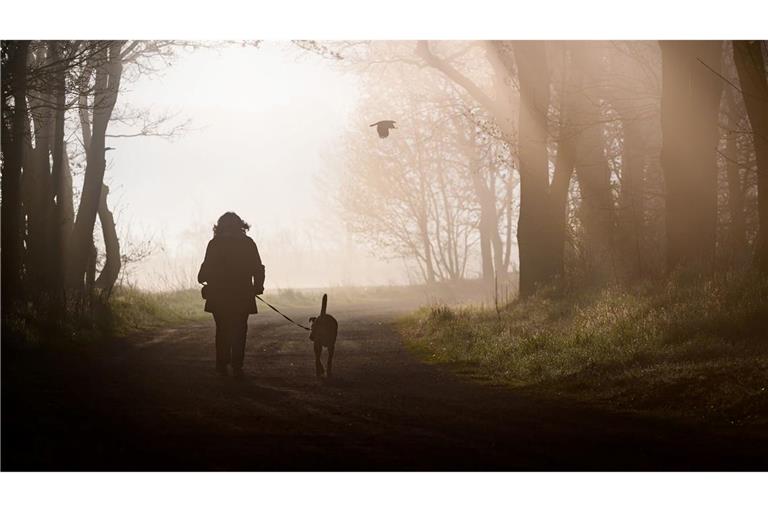 Spaziergang in einen herrlichen Morgen.