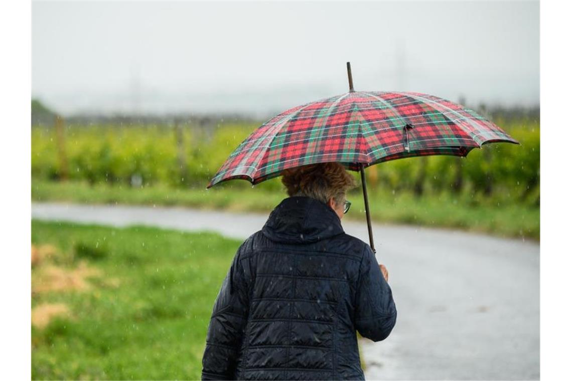 Spaziergang mit Regenschirm. Foto: Andreas Arnold/dpa