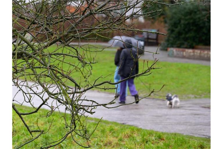 Spaziergang trotz Regens in Hamburg. Foto: Jonas Walzberg/dpa