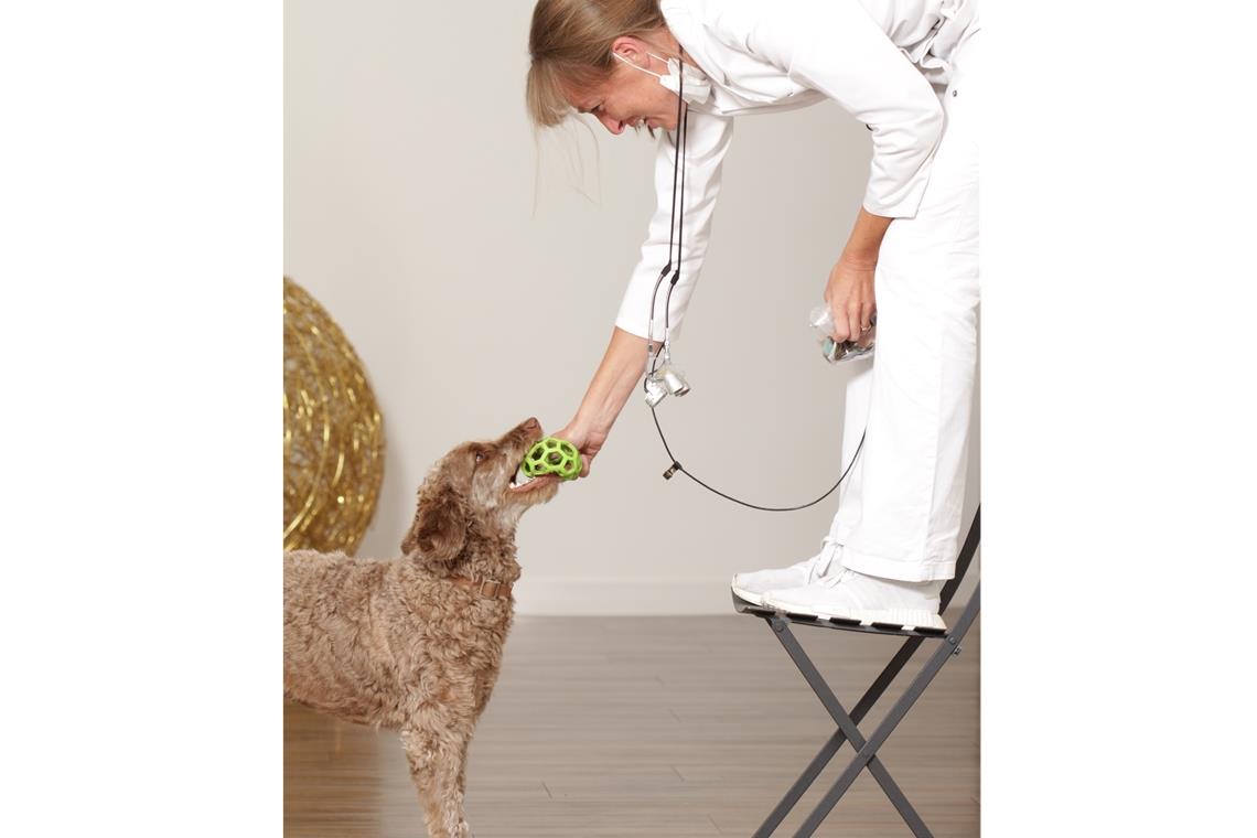Mit dem Vierbeiner gegen die Angst Spiel mit der Chefin: Zahnärztin Eva Christoff mit der Labradoodle-Dame Ilsa. Foto: V. Weinbeer