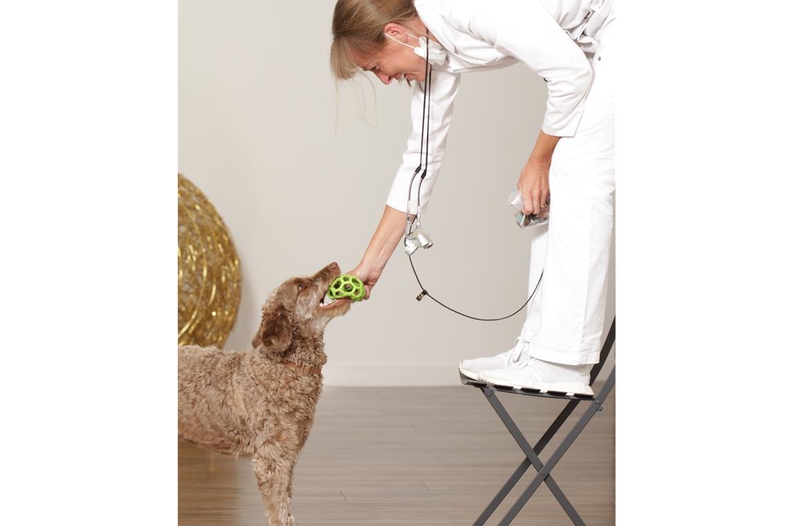 Spiel mit der Chefin: Zahnärztin Eva Christoff mit der Labradoodle-Dame Ilsa. Foto: V. Weinbeer