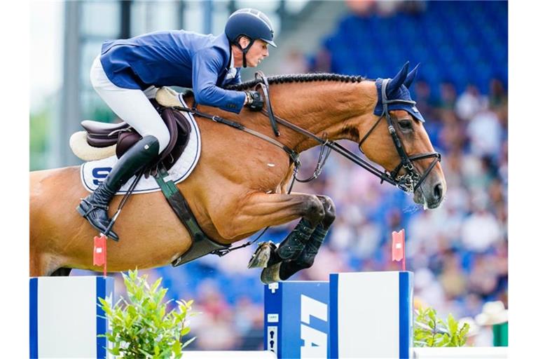 Springreiter Daniel Deußer auf seinem Pferd Killer Queen. Foto: Uwe Anspach