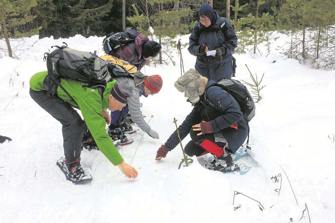Spurensuche im Schnee: Beim Wildniscamp folgen die Teilnehmer zusammen mit Fährtenleserin Astrid Szelest den Fußabdrücken wilder Tiere.