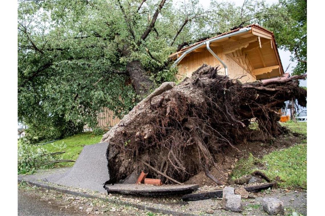 Schäden nach Unwetter in Bayern Starker Wind hat in Halfing einen massiven Baum entwurzelt. Foto: Matthias Balk/dpa