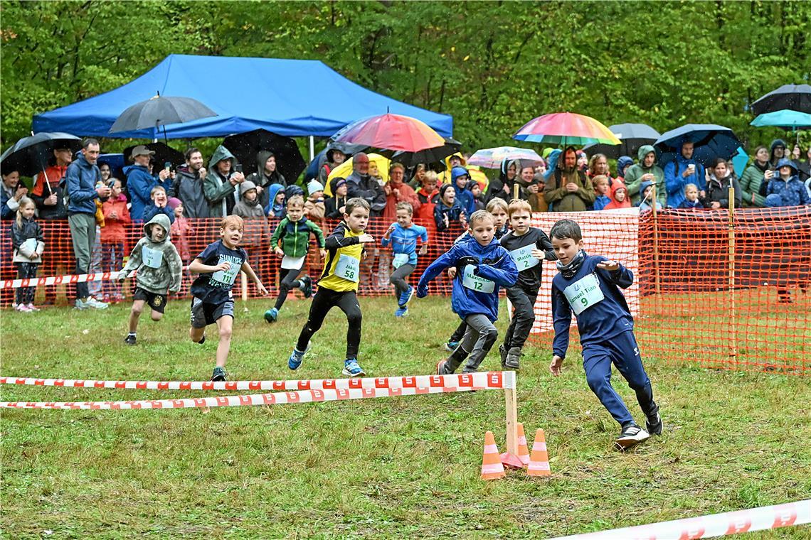 Start der Schüler beim 4. Kindercrossduathlon des TC Backnang im Plattenwald. SP