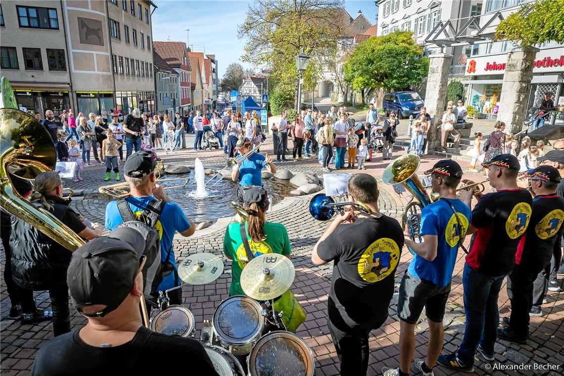 Start frei für den 35. Gänsemarkt: Die Gänsekinder versammelten sich zusammen mi...