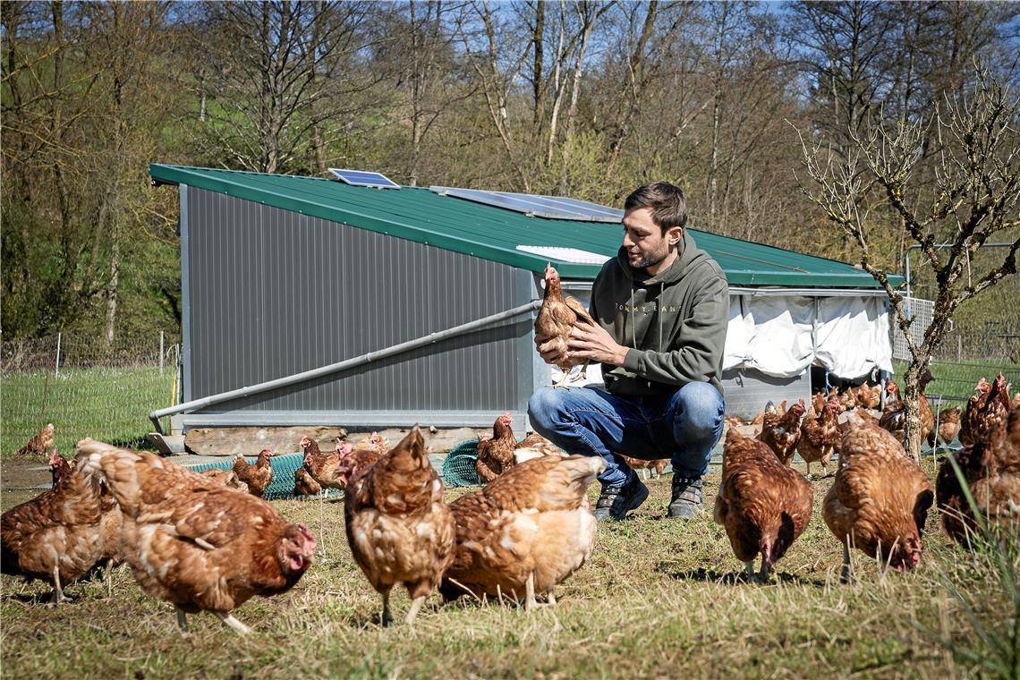 Stefan Heller verlässt sich nicht nur auf die Technik, sondern schaut jeden Tag selbst bei den Hühnern nach dem Rechten. Foto: Alexander Becher