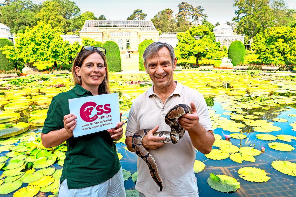 Stefanie Reska, die Leiterin der Stabsstelle Artenschutz, und der Wilhelma-Direktor Thomas Kölpin, mit einer Königspython im Maurischen Garten.