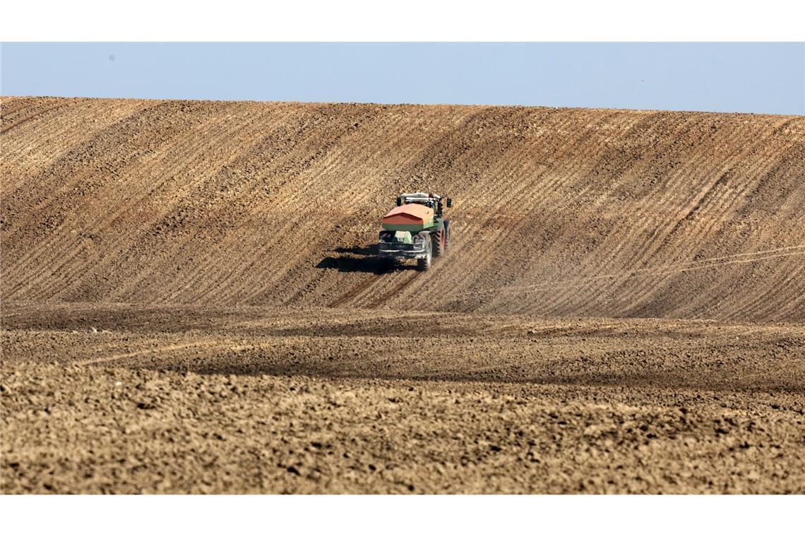 Steigende Düngermittelpreise bedrohen laut Weltbank die sichere Lebensmittelversorgung von Millionen von Menschen. (Archivbild)