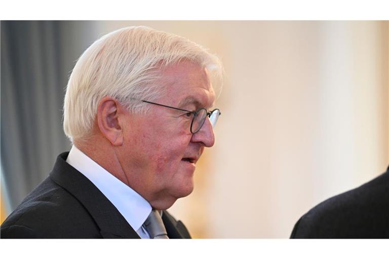 Steinmeier betrachtet das vorgeschlagene Losverfahren mit mit Skepsis. (Archivbild)