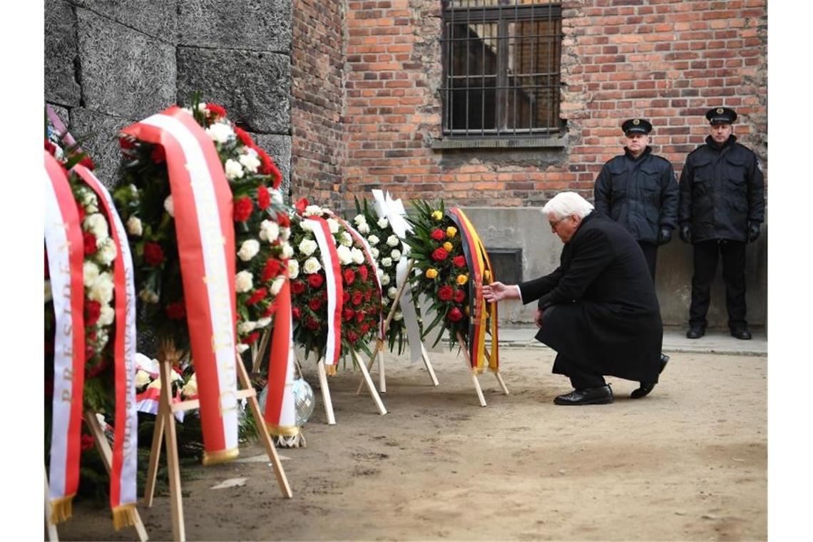 Steinmeier legt einen Kranz an der Todeswand in Auschwitz nieder. Foto: Britta Pedersen/dpa-Zentralbild/dpa