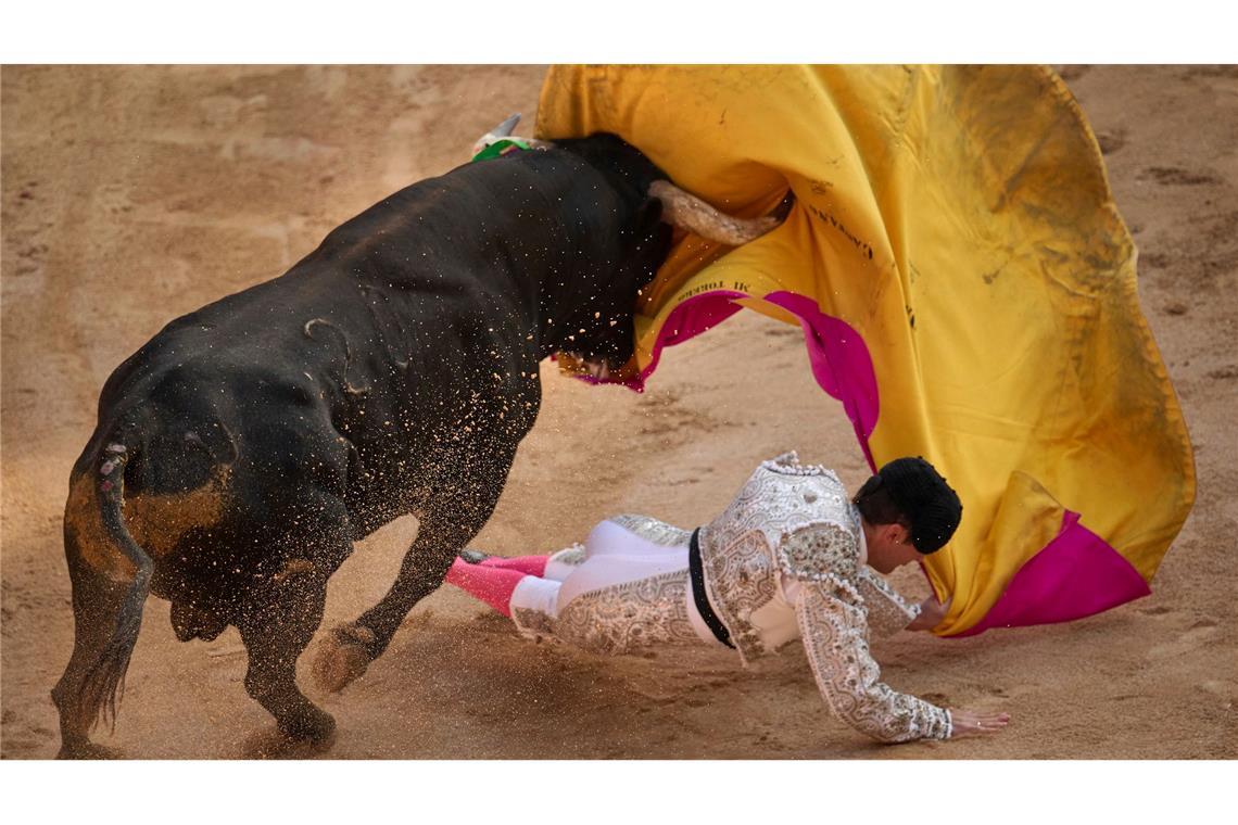 Riesige Stier-Statue soll neues Wahrzeichen Spaniens werden Stierkampf ist in Spanien ein geschütztes Kulturgut. (Archivbild)