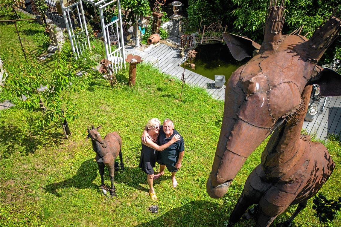 Stolze 4,12 Meter hoch ist die große Giraffe im Garten von Ilona und Gotthold Müller. Die kleinere misst 2,05 Meter. Foto: Alexander Becher 